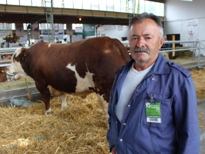 Mališa, trogodišnji bik od čak 1.550kg