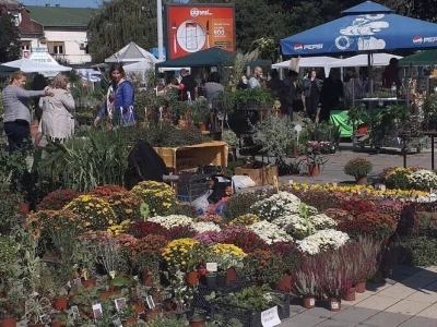 manifestacije Cvetna pijaca i Noćni bazar