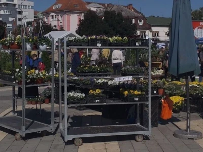 manifestacije Cvetna pijaca i Noćni bazar