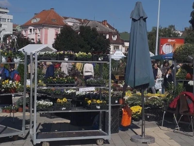 manifestacije Cvetna pijaca i Noćni bazar