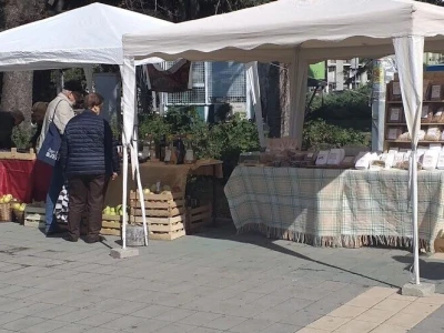 manifestacije Cvetna pijaca i Noćni bazar