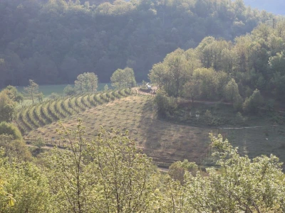 Manstir Sveti Prohor Pčinjski