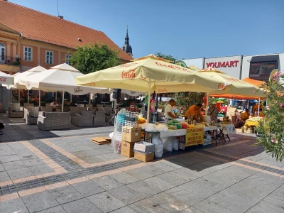 Međunarodni sajam pčelarstva u Somboru