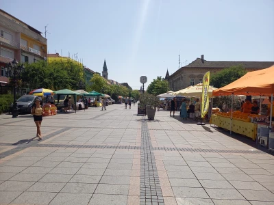 Međunarodni sajam pčelarstva u Somboru
