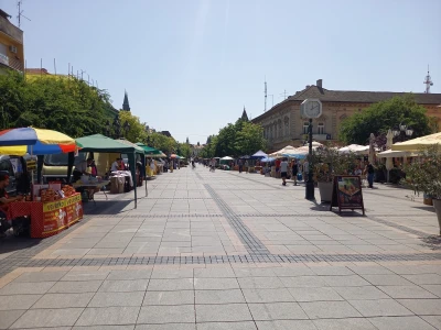 Međunarodni sajam pčelarstva u Somboru