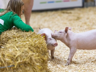 Međunarodni sajam poljoprivrede "Salon international de l'Agriculture - SIA"