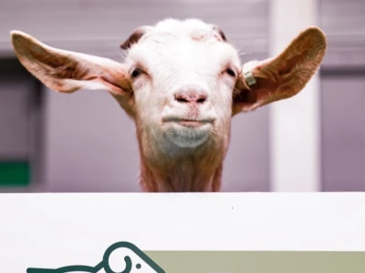Međunarodni sajam poljoprivrede "Salon international de l'Agriculture - SIA"
