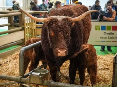Međunarodni sajam poljoprivrede "Salon international de l'Agriculture - SIA"