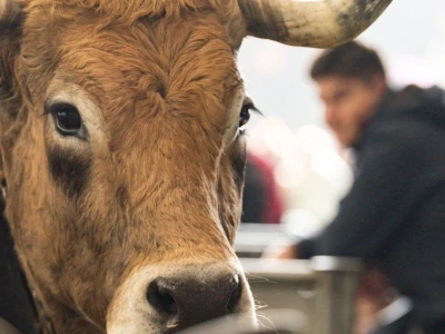 Međunarodni sajam poljoprivrede "Salon international de l'Agriculture - SIA"