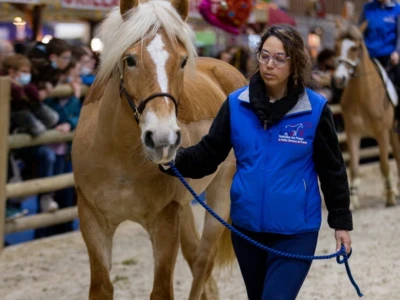 Međunarodni sajam poljoprivrede "Salon international de l'Agriculture - SIA"