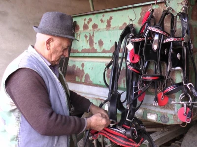 Mića Kikinđanin