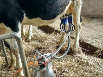 mikrobiološka slika mleka