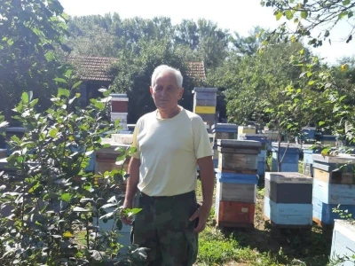 Mile Simonović