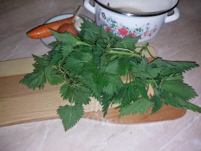 Mlada kopriva