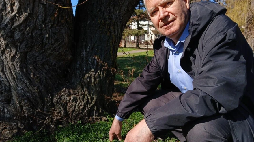 Mladen Cvetković od malena bere koprive
