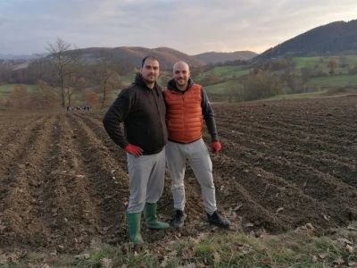 Mladi ljudi iz Beograda zasadili divlji origano