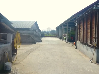 Mlečno govedarstvo