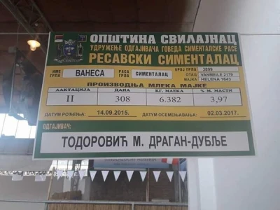 Mlečno govedarstvo se isplati