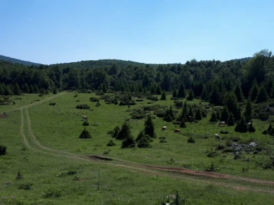 Moderni hajduci promovišu Suvu planinu