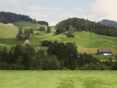 Na ovoj farmi krave jedu pivski kvasac