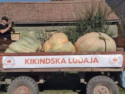 Nagrađene bundeve na Danima ludaje 2023.godine