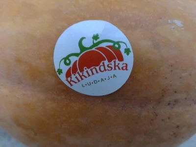 Nagrađene bundeve na Danima ludaje 2023.godine