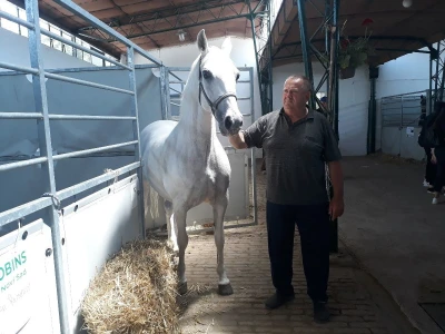 Nagrađivani konji Siniše Paunovića iz Surduka