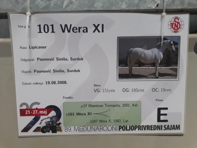 Nagrađivani konji Siniše Paunovića iz Surduka