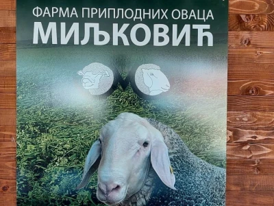 Najbolje ocenjen ovan sajma u Novom Sadu