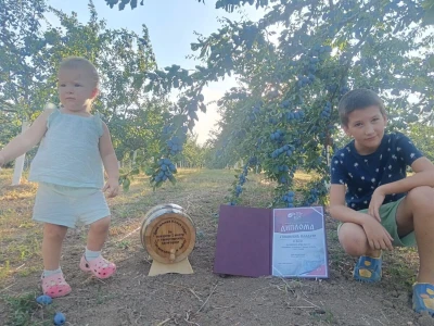 Najbolji mladi voćar