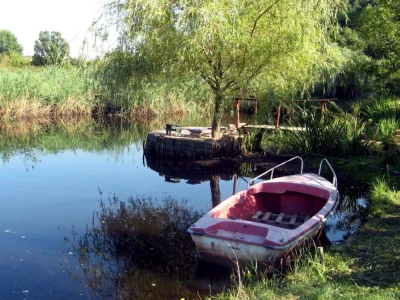 Sam napravio sopstveno jezero - vratio laste, kornjače, barske koke
