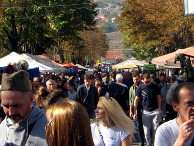 Oplenačka berba oborila rekord - "potukla" sve manifestacije u Srbiji!