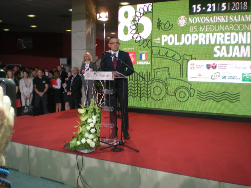 Nedimović