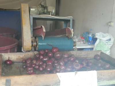 Nema radnika za berbu šargarepe