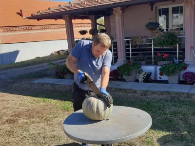 Nenad je šampion u uzgajanju bundeva, foto: M. Lazarević