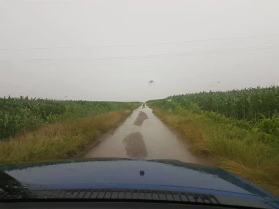 Oštećeni usevi