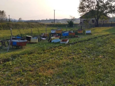 Nevreme i grad u šumadijskim selima ostavilo pustoš
