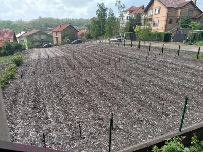 Nevreme u Zaječaru