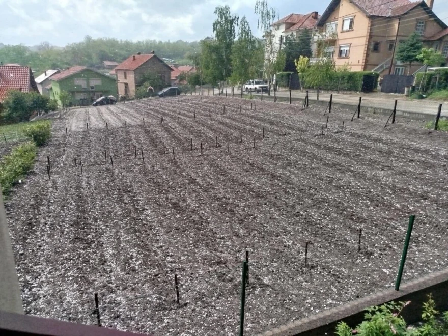 Grad padao u Zaječaru