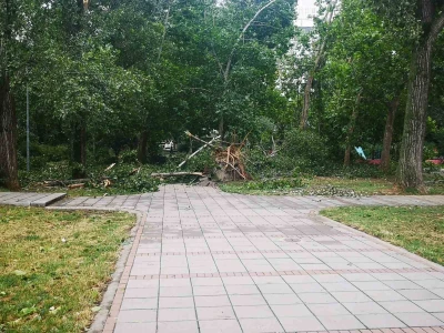 Nevreme, vetar, oluja