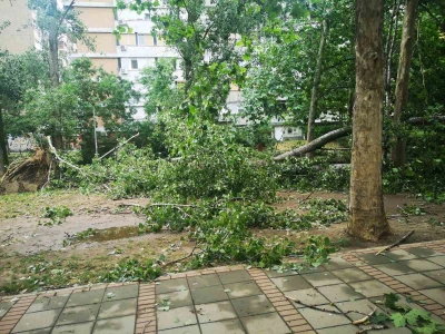 Nevreme, vetar, oluja