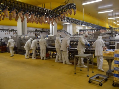 Lideri francuske proizvodnje premijum piletine