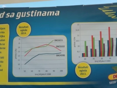 Ogled sa gustinama