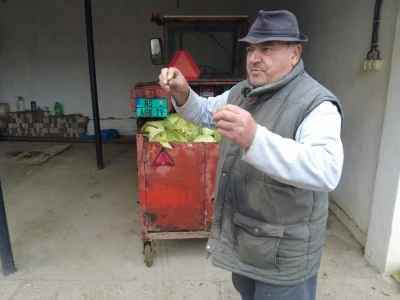 Ono si što jedeš #kupovina direktno od proizvođača #sopstvena proizvodnja