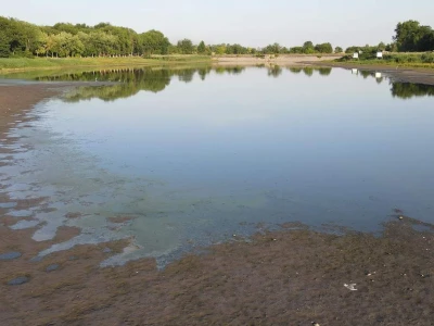 Čonopljansko jezero - pomor ribe
