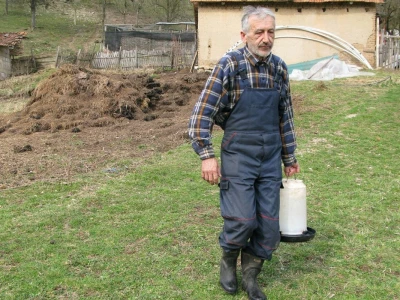 Organska proizvodnja jaja