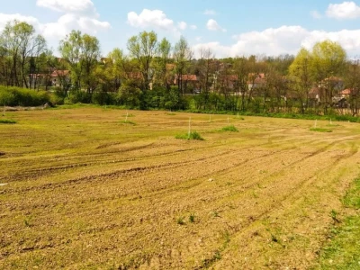 Organska prozivodnja - neiskorišćena šansa Srbije