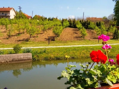 Organska prozivodnja - neiskorišćena šansa Srbije