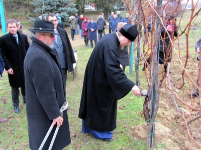 Sv. Trifun proslavljen u Sremskim Karlovcima