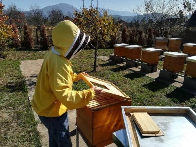 Otkupna cena meda u Srbiji najviša na planeti